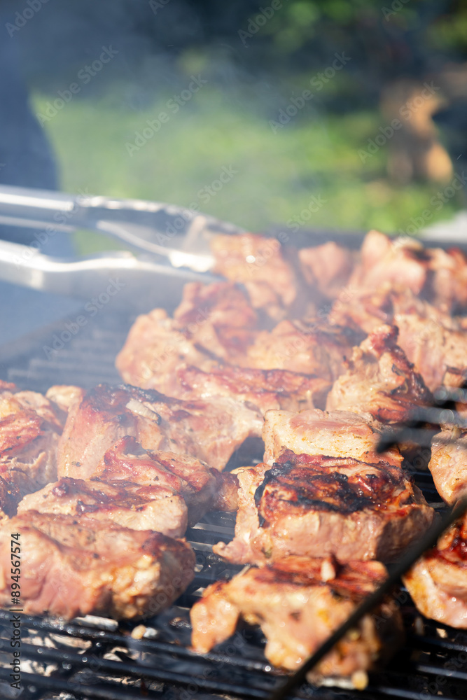 shashlik on the grill. outdoor picnic in summer shashlik on the grill. outdoor picnic in summer