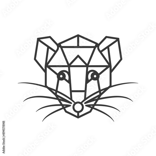 geometric depiction of a raccoon face