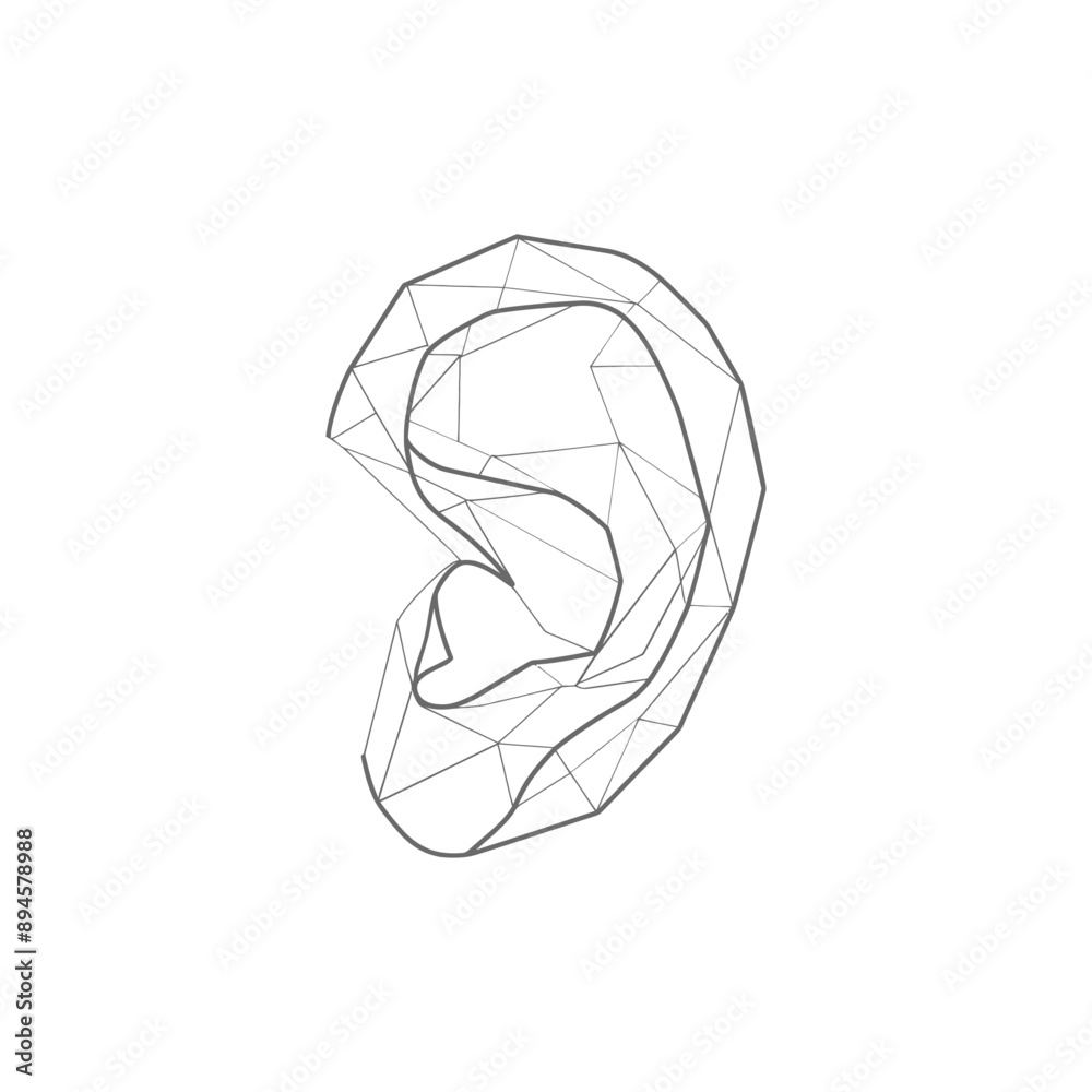 Geometric Representation of a Human Ear Geometric Representation of a Human Ear