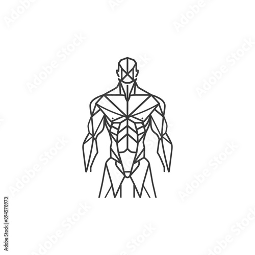 Geometric Representation of a Male Torso with Detailed Muscle Structure