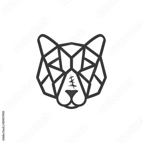 Geometric Representation of a Wild Cats Face with Stitches