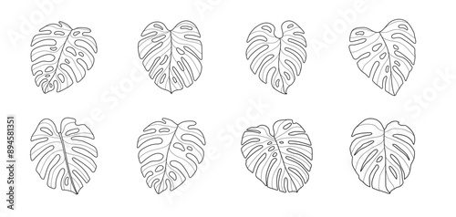 monstera leaf hand drawn outline set tropical leaves silhouette vector art graphic design summer green nature drawing line tree plant holiday organic natural minimal adult coloring book doodle sketch