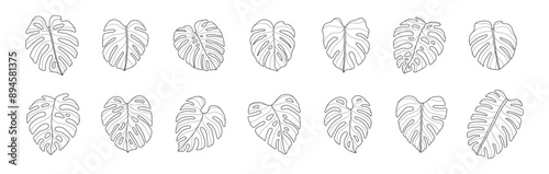 monstera leaf hand drawn outline set tropical leaves silhouette vector art graphic design summer green nature drawing line tree plant holiday organic natural minimal adult coloring book doodle sketch