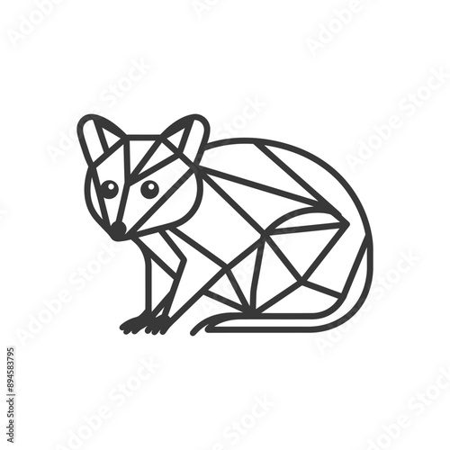 Geometric raccoon design Simple and cute