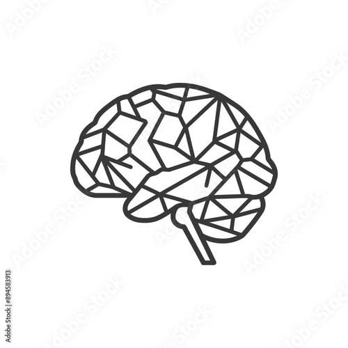 Geometric representation of the human brain
