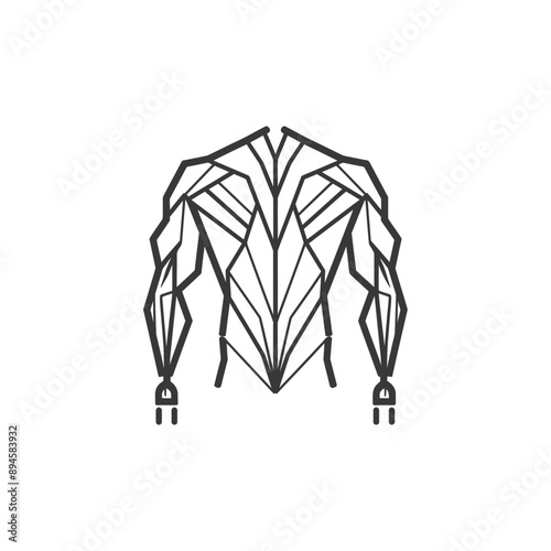Geometric representation of a strong physique
