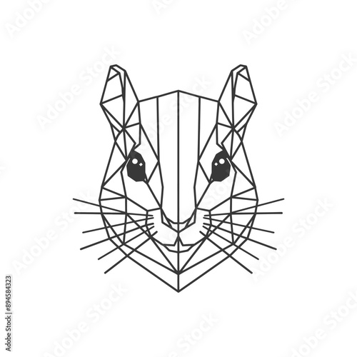 Geometric squirrel portrait Simple yet stunning