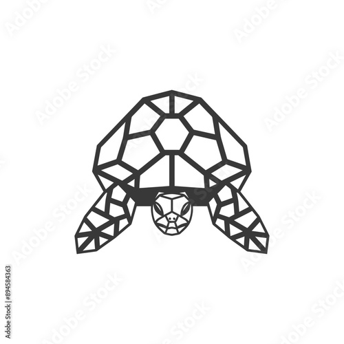 Geometric tortoise design Simple and stylish