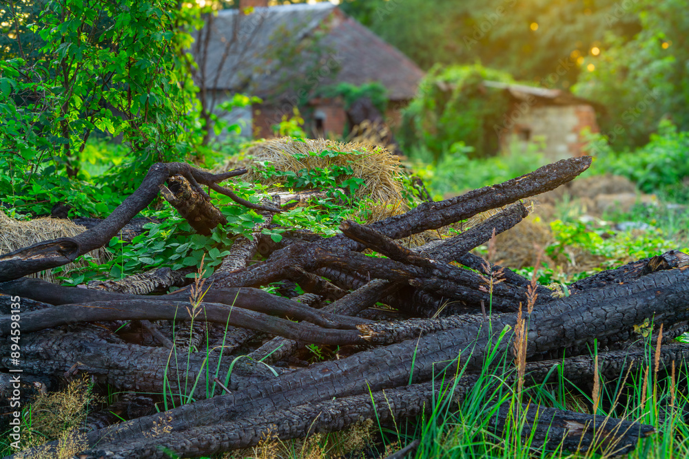 Burnt wood from the roof of a burned house. Black wood soot after a building fire. beautiful summer sun rays in the morning. Abandoned burned house in the countryside near the forest Burnt wood from the roof of a burned house. Black wood soot after a building fire. beautiful summer sun rays in the morning. Abandoned burned house in the countryside near the forest