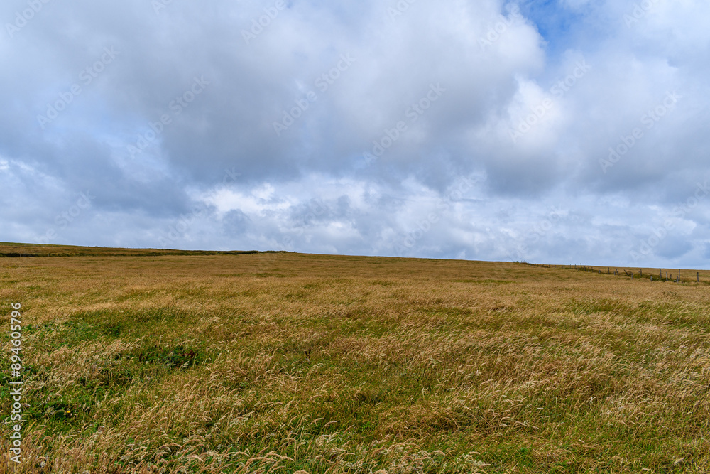 grass field with fence and a cloudy sky in Ireland grass field with fence and a cloudy sky in Ireland