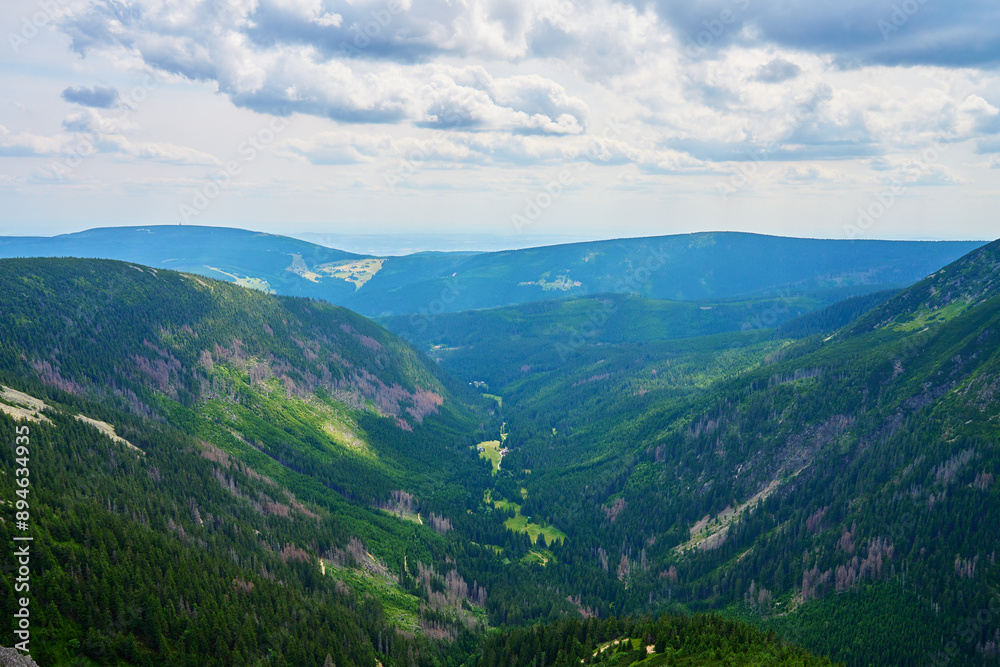 Fototapeta premium Beautiful panoramic view of green mountain valley with rolling hills and dense forests under cloudy sky. Travel tourism and hiking concept