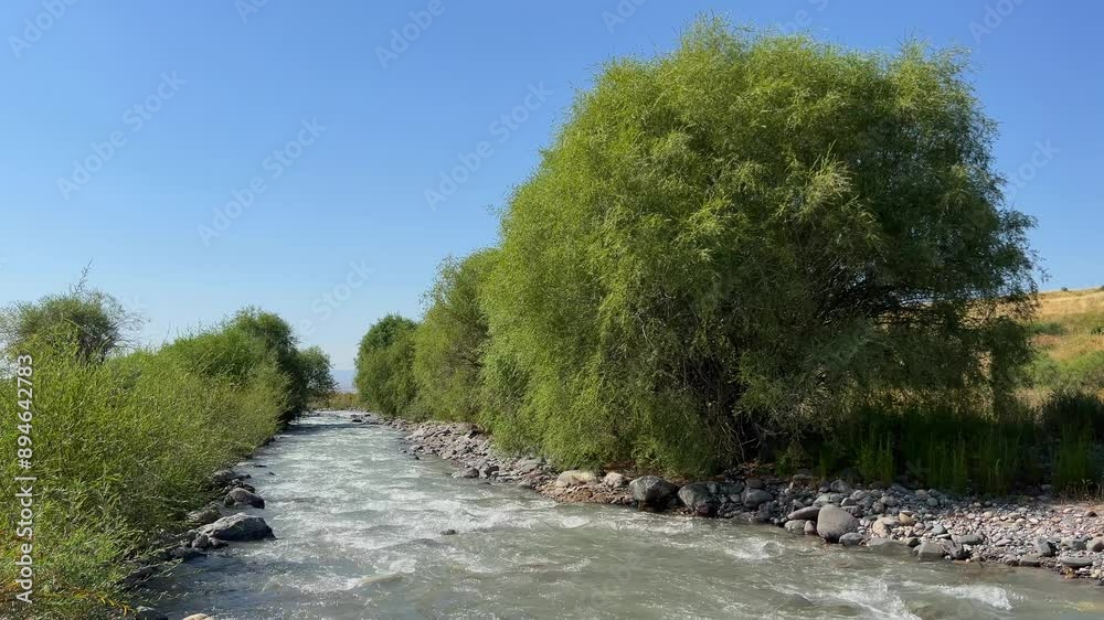 Green trees on the river bank against a blue sky Green trees on the river bank against a blue sky