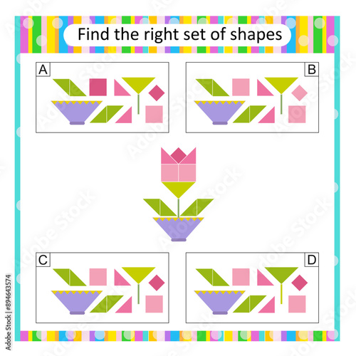 Puzzle for kids. Find the correct set of cartoon flower. Answer is C.