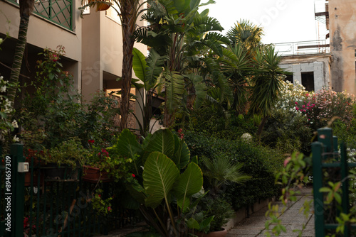 A lush green courtyard with...