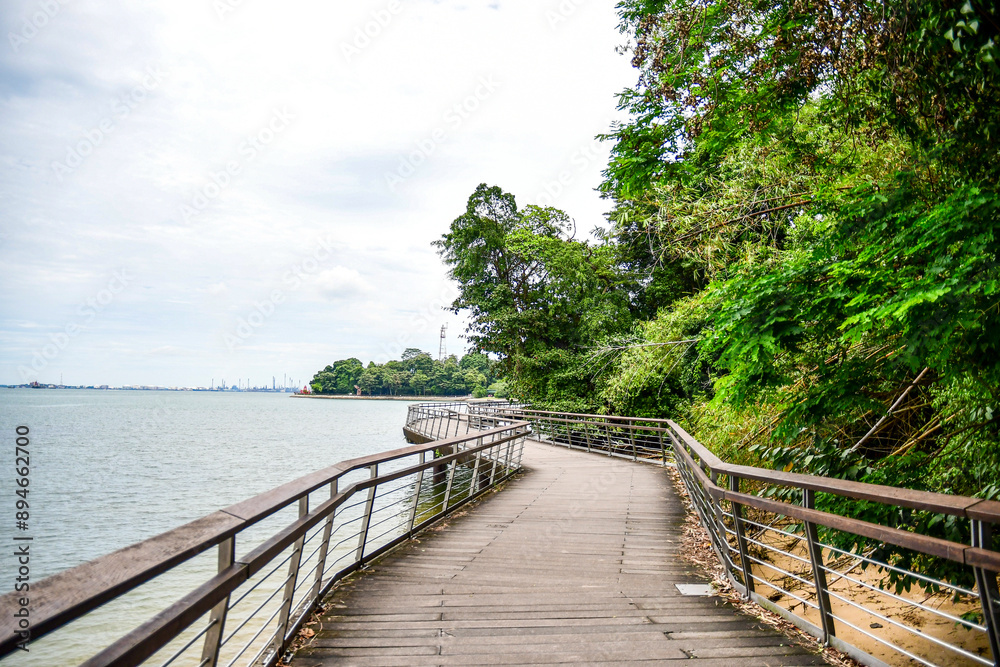 Obraz premium Labrador Nature Reserve in Singapore
