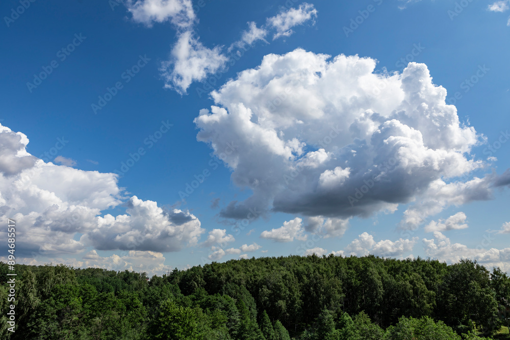Landscape photo of a forest and clouds hanging above on a beautiful summer day Landscape photo of a forest and clouds hanging above on a beautiful summer day