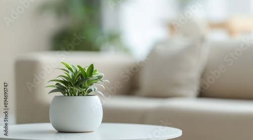 Potted Plant On Coffee Table
