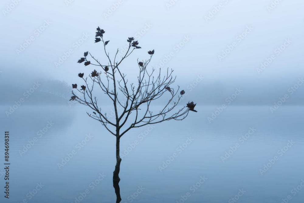 A solitary tree stands in a calm lake, surrounded by a serene misty landscape, evoking a sense of solitude and tranquility in nature. A solitary tree stands in a calm lake, surrounded by a serene misty landscape, evoking a sense of solitude and tranquility in nature.