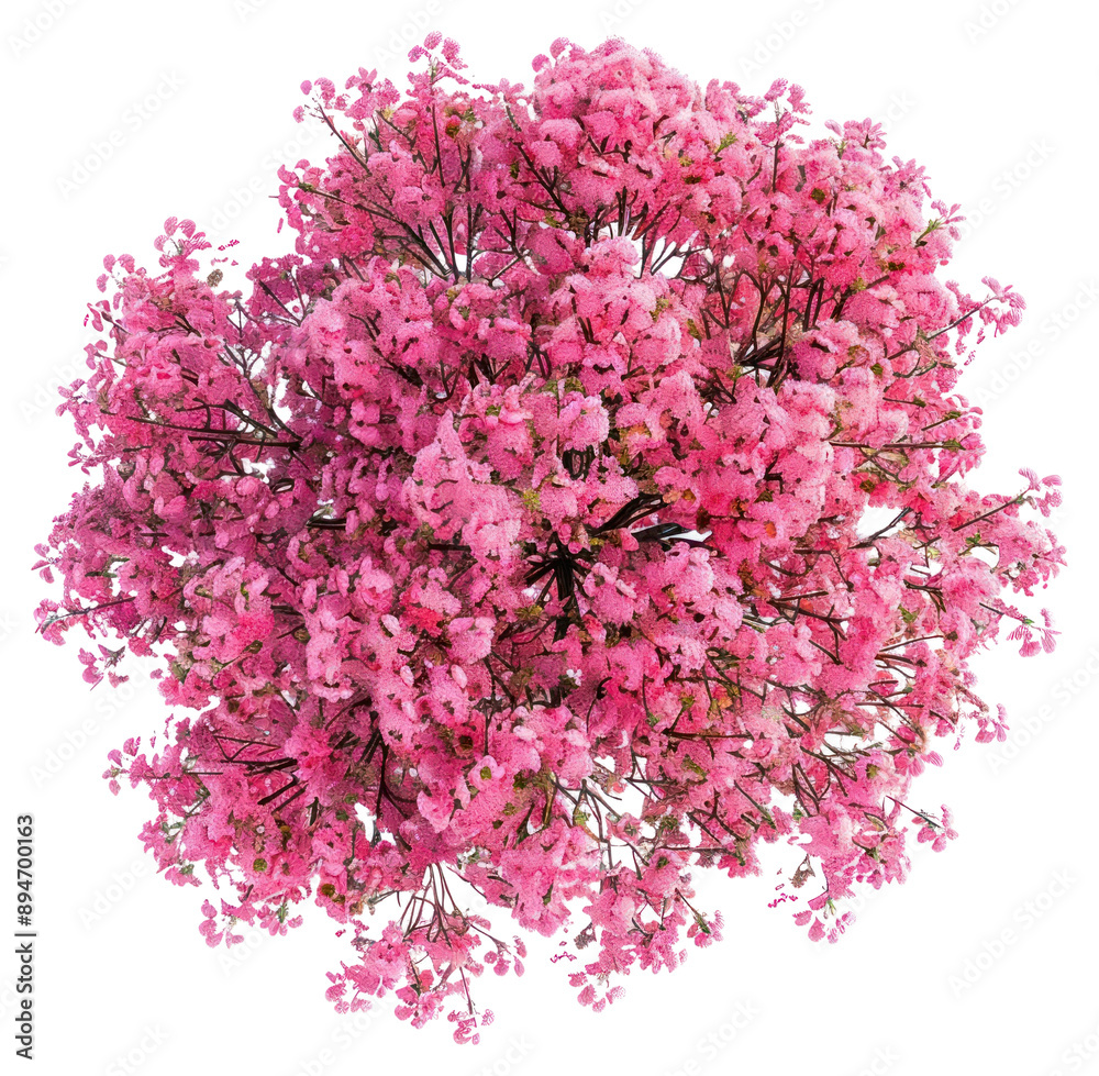 Fototapeta premium PNG Vibrant pink floral bouquet arrangement
