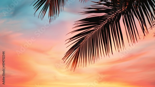 Tropical Sunset Silhouette - Palm Fronds Against Colorful Sky