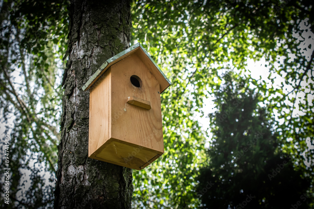 a bird nesting box hanging on a tree a bird nesting box hanging on a tree