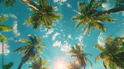 Blue sky and palm trees view from below, vintage style, tropical beach and summer background, travel concept