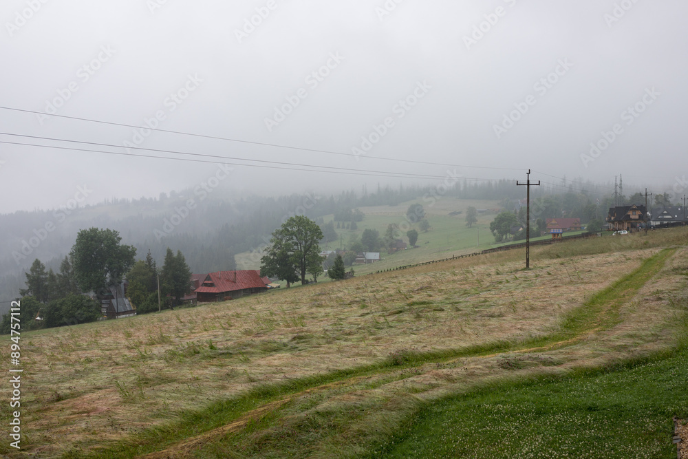 Foggy weather in the mountains. The mountainside is covered in thick fog. Foggy weather in the mountains. The mountainside is covered in thick fog.