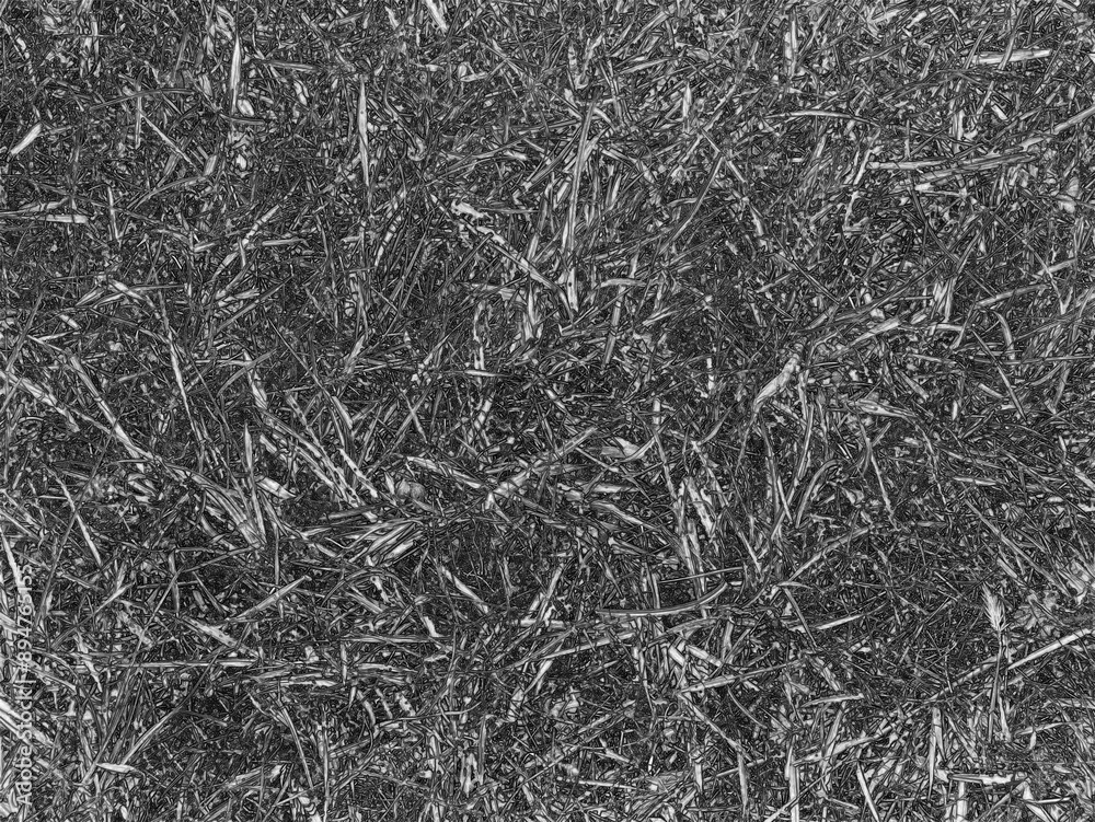 Green grass background, summer lawn, field close view. Black and white monochrome photo. Pencil drawn sketch Green grass background, summer lawn, field close view. Black and white monochrome photo. Pencil drawn sketch