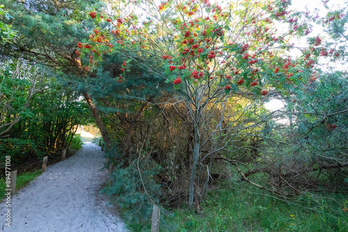 Einer der Zugänge zum Darsser Weststrand. photo