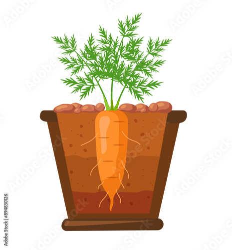 Carrots in a clay pot. Vector clipart isolated on white background.
