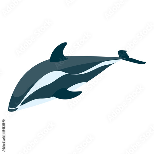 3D Isometric Flat Vector Set of Types Of Dolphins, Educational Classification. Item 2