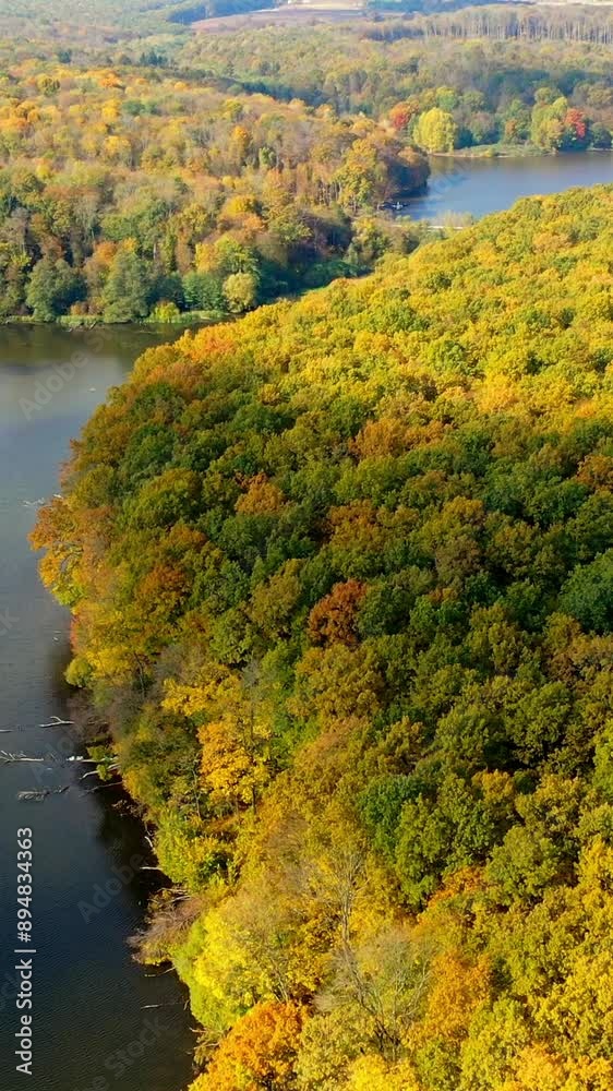 Beautiful scenery of autumn forests abundantly growing over the ramose river. Drone shot rising over the picturesque landscape. Vertical video Beautiful scenery of autumn forests abundantly growing over the ramose river. Drone shot rising over the picturesque landscape. Vertical video