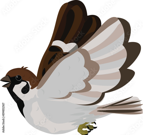 Cartoon  House little Bird Tree Sparrow - Passer montanus flying isolated on white background.