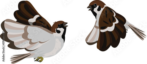 Cartoon House little Bird Tree Sparrow (Passer montanus) flying make fun of isolated on white background.