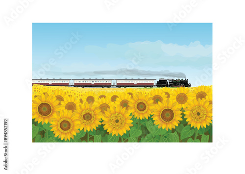 wallpaper and background landscape sunflowers garden and antique traintravel led by steam locomotive running through unseen in thailand style.