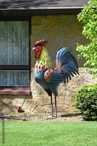 Rooster Statue in the Yard