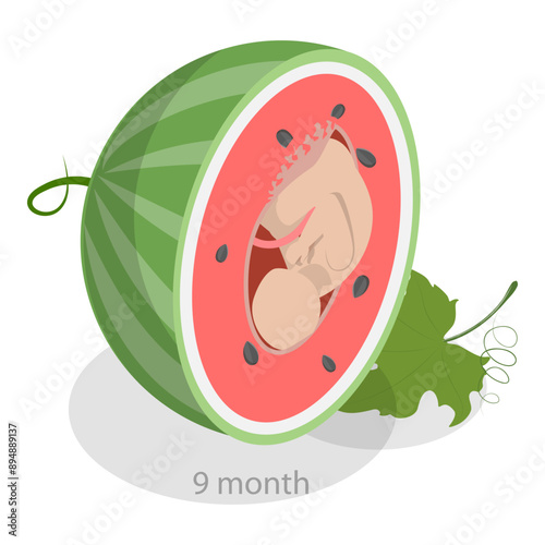 3D Isometric Flat Vector Illustration of Embryo Monthly Growth Stages, Human Fetus Development. Item 6