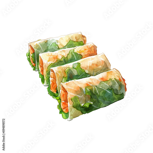 viggie spring rolls vector illustration in watercolor style