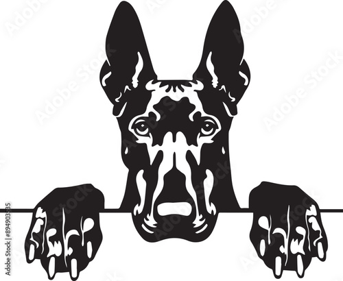 peeking doberman pinscher dog