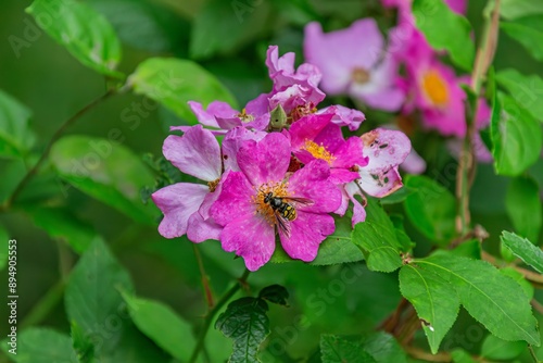 Wallpaper Mural Each season brings fresh beauty. Torontodigital.ca