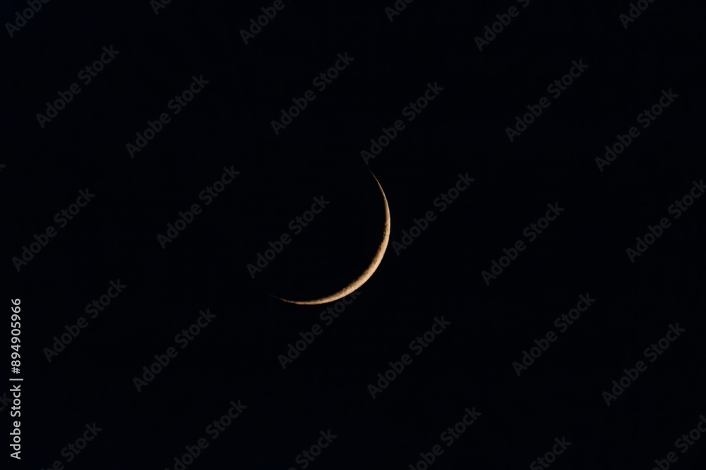 moon in the night moon in the night