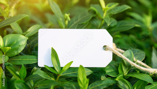 Blank white tag label on vibrant green foliage. For business branding or sale promotions. Mock-up. photo