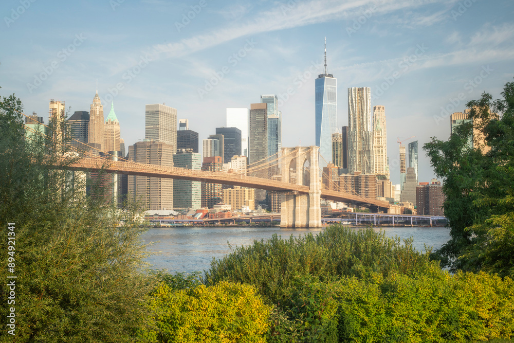 Fototapeta premium Pont, ville et gratte ciel en Amérique, skyline de new york vue de Brooklyn au milieu de la végetation