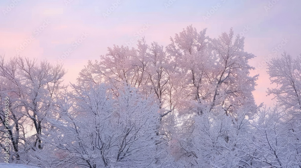 Frost-covered trees against a dusky winter sky, capturing the serene beauty of twilight in a snowy landscape Frost-covered trees against a dusky winter sky, capturing the serene beauty of twilight in a snowy landscape