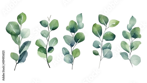 Set collection vector illustration watercolor green leaves with isolated white background