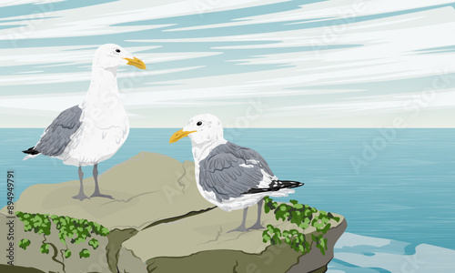 Two seagulls are sitting on a large stone above the sea. Wild seabirds. Realistic vector landscape