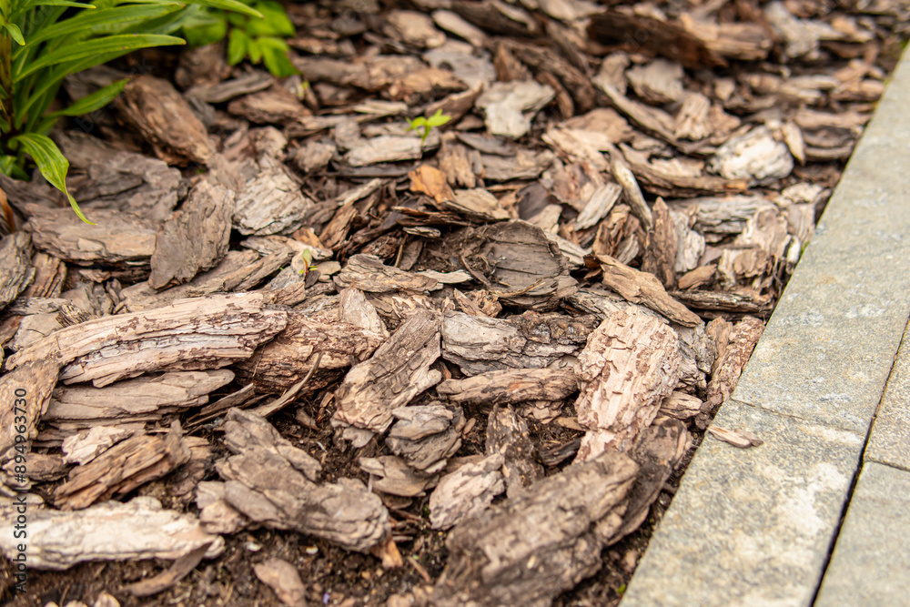 Mulching the soil with bark. Mulch of flowerbed with pine bark. Pine bark closeup Mulching the soil with bark. Mulch of flowerbed with pine bark. Pine bark closeup