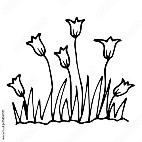 hand drawn wildflowers flower bed, monochrome, black and white