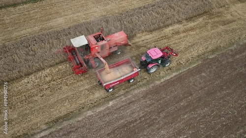 Żniwa, zbiór zbóż, kombajn Bizon