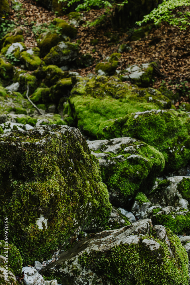 Amazing stones with green moss in National Park Prokletije, Montenegro. Nature background. Amazing stones with green moss in National Park Prokletije, Montenegro. Nature background.